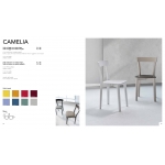 043.23  CAMELIA